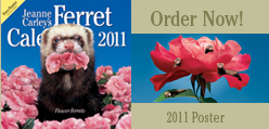 order